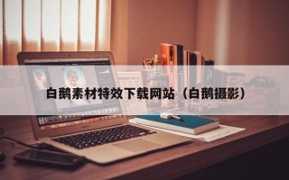 进贤白鹅素材特效下载网站（白鹅摄影）